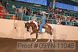 09yn-11048 proof