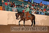 09yn-11049 proof