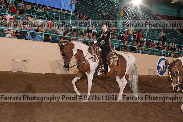 Proof 09yn-11050