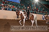 09yn-11050 proof