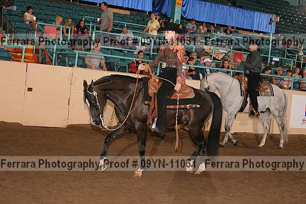 Proof 09yn-11051