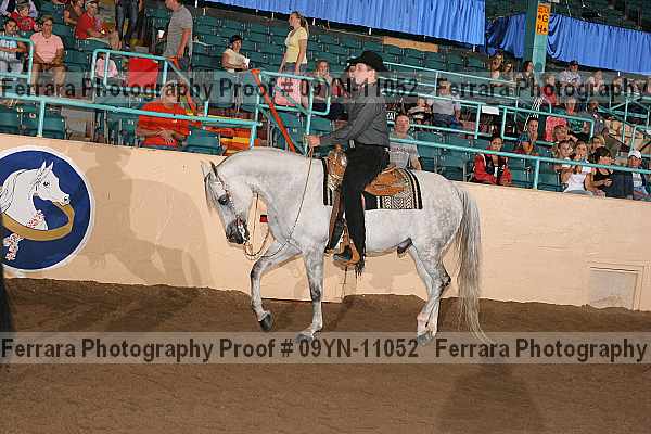 Proof 09yn-11052