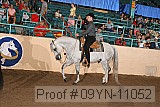 09yn-11052 proof