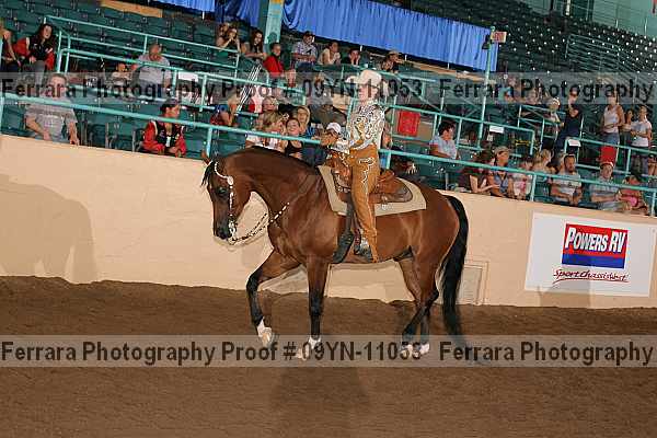 Proof 09yn-11053