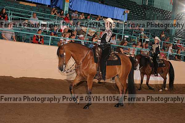 Proof 09yn-11054