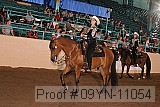 09yn-11054 proof
