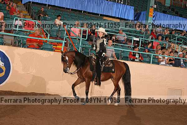 Proof 09yn-11055