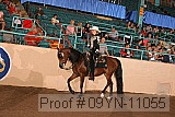 09yn-11055 proof