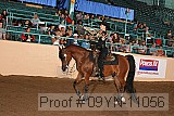 09yn-11056 proof