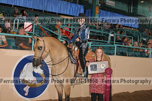 Proof 09yn-11058