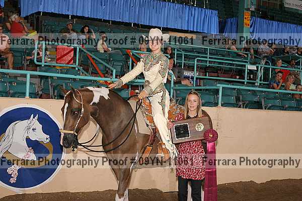 Proof 09yn-11061
