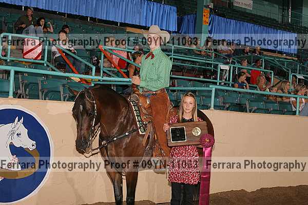 Proof 09yn-11063
