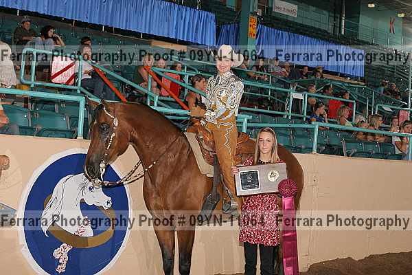 Proof 09yn-11064