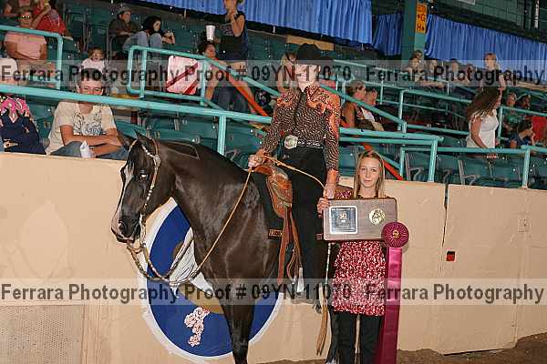 Proof 09yn-11070