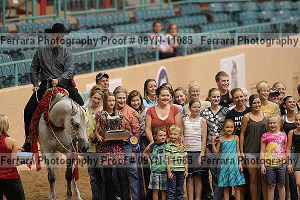 Proof 09yn-11085