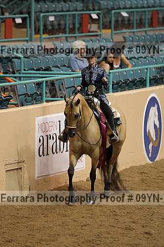 Proof 09yn-11093