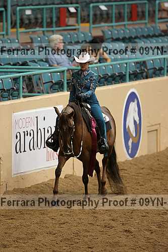 Proof 09yn-11095