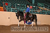 09yn-11112 proof