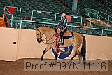 09yn-11116 proof