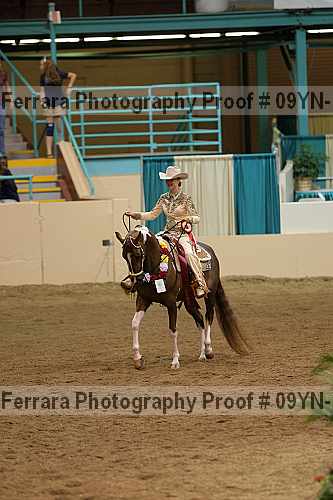Proof 09yn-11118