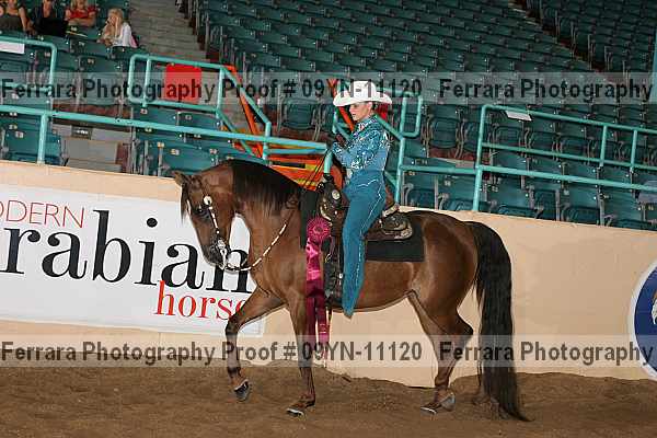 Proof 09yn-11120