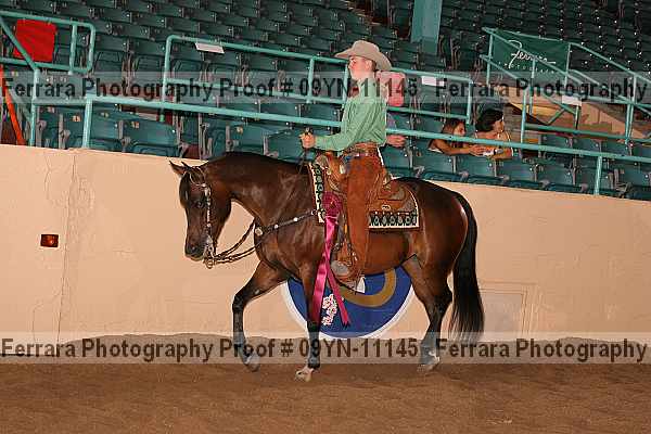 Proof 09yn-11145