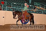 09yn-11145 proof