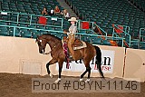 09yn-11146 proof