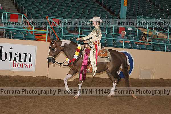 Proof 09yn-11148