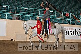 09yn-11149 proof