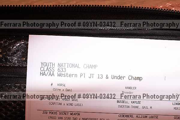 Proof 09yn-03432