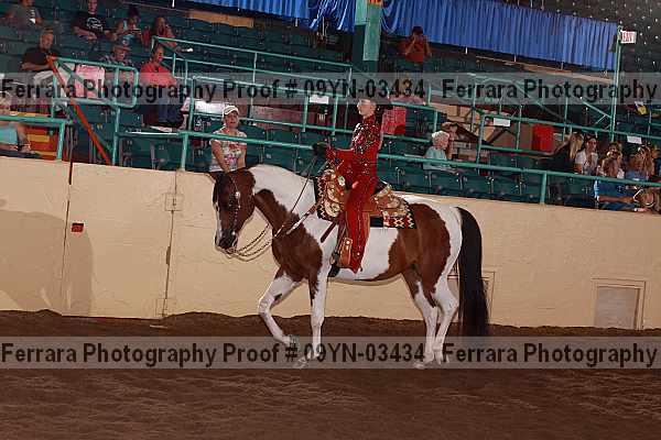 Proof 09yn-03434