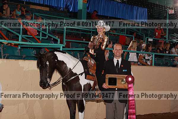 Proof 09yn-03477