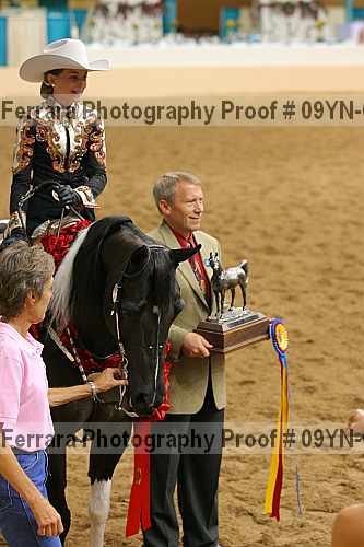 Proof 09yn-03506