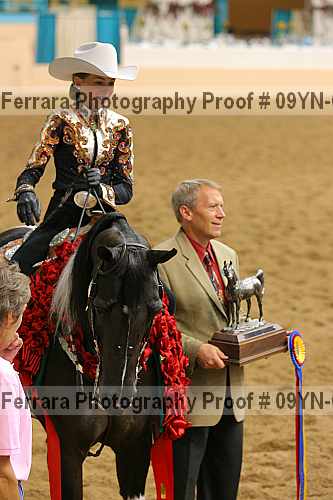 Proof 09yn-03508