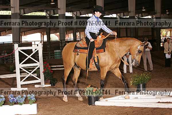 Proof 09yn-00341