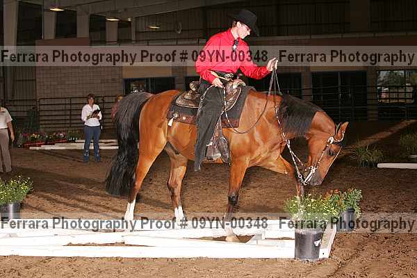 Proof 09yn-00348