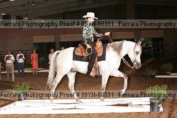 Proof 09yn-00351