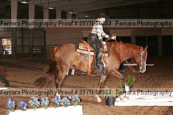 Proof 09yn-00353