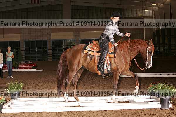 Proof 09yn-00354