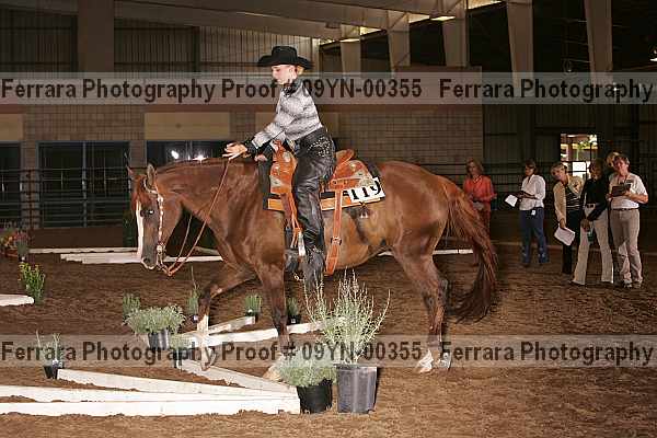 Proof 09yn-00355