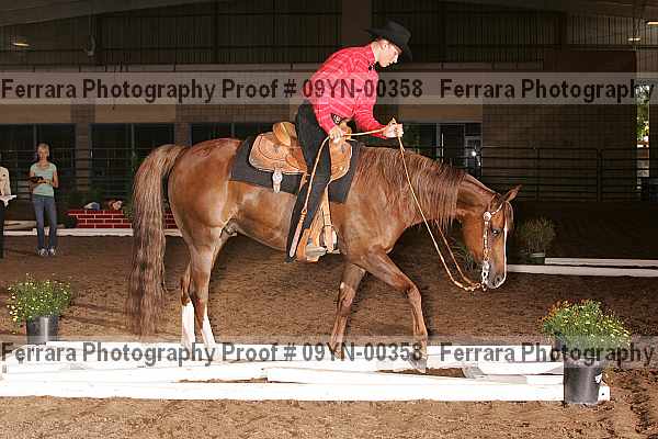 Proof 09yn-00358