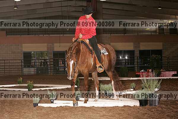 Proof 09yn-00360