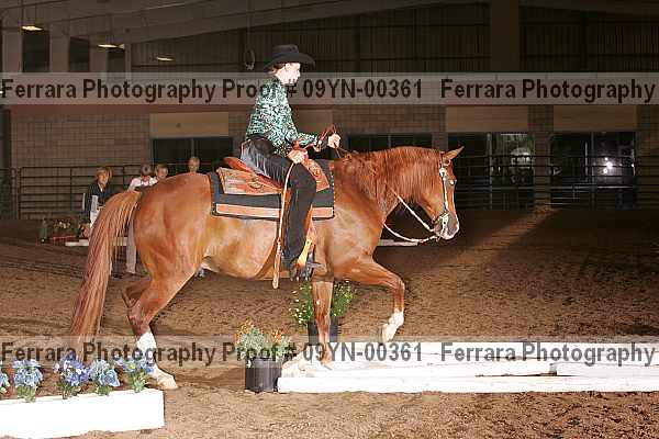 Proof 09yn-00361
