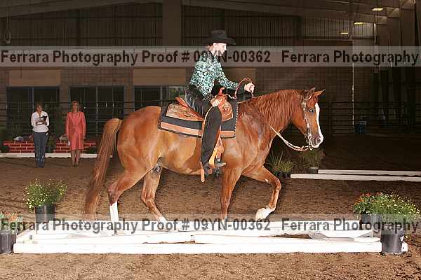 Proof 09yn-00362