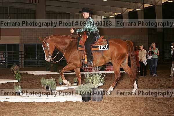 Proof 09yn-00363