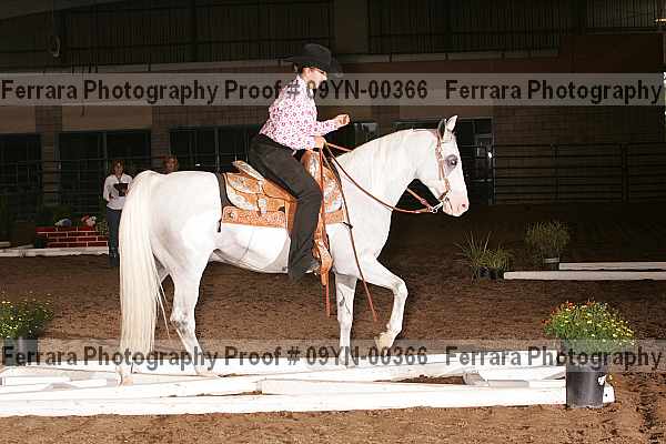 Proof 09yn-00366