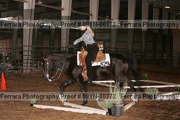 Proof 09yn-00372