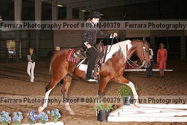 Proof 09yn-00379