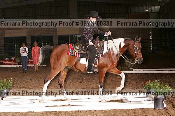 Proof 09yn-00380